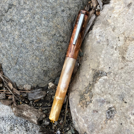 B24 - (SNR) - Safari