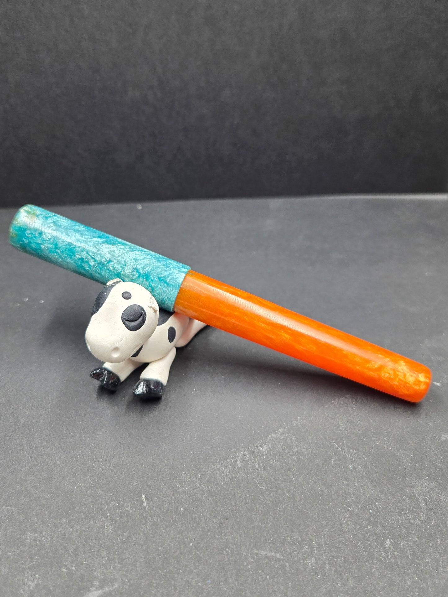 F14 - (SNR) - Dolphin Nation