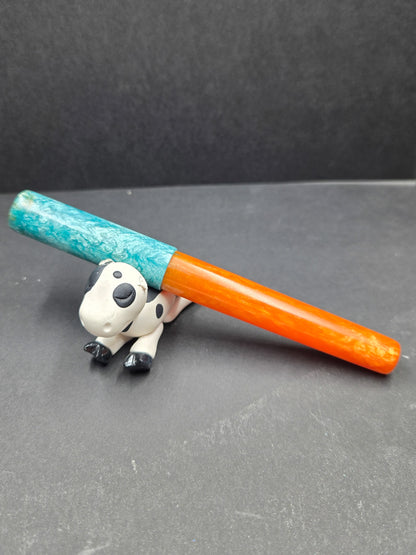 F14 - (SNR) - Dolphin Nation