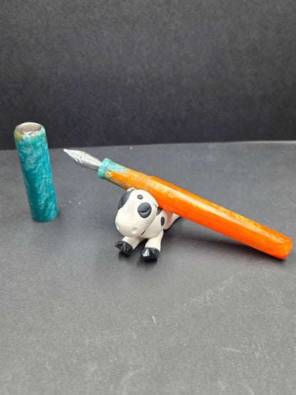 F14 - (SNR) - Dolphin Nation