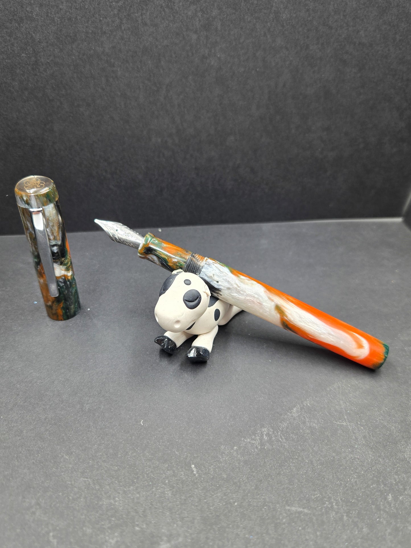 B24 - (SNR) Hidden Tiger