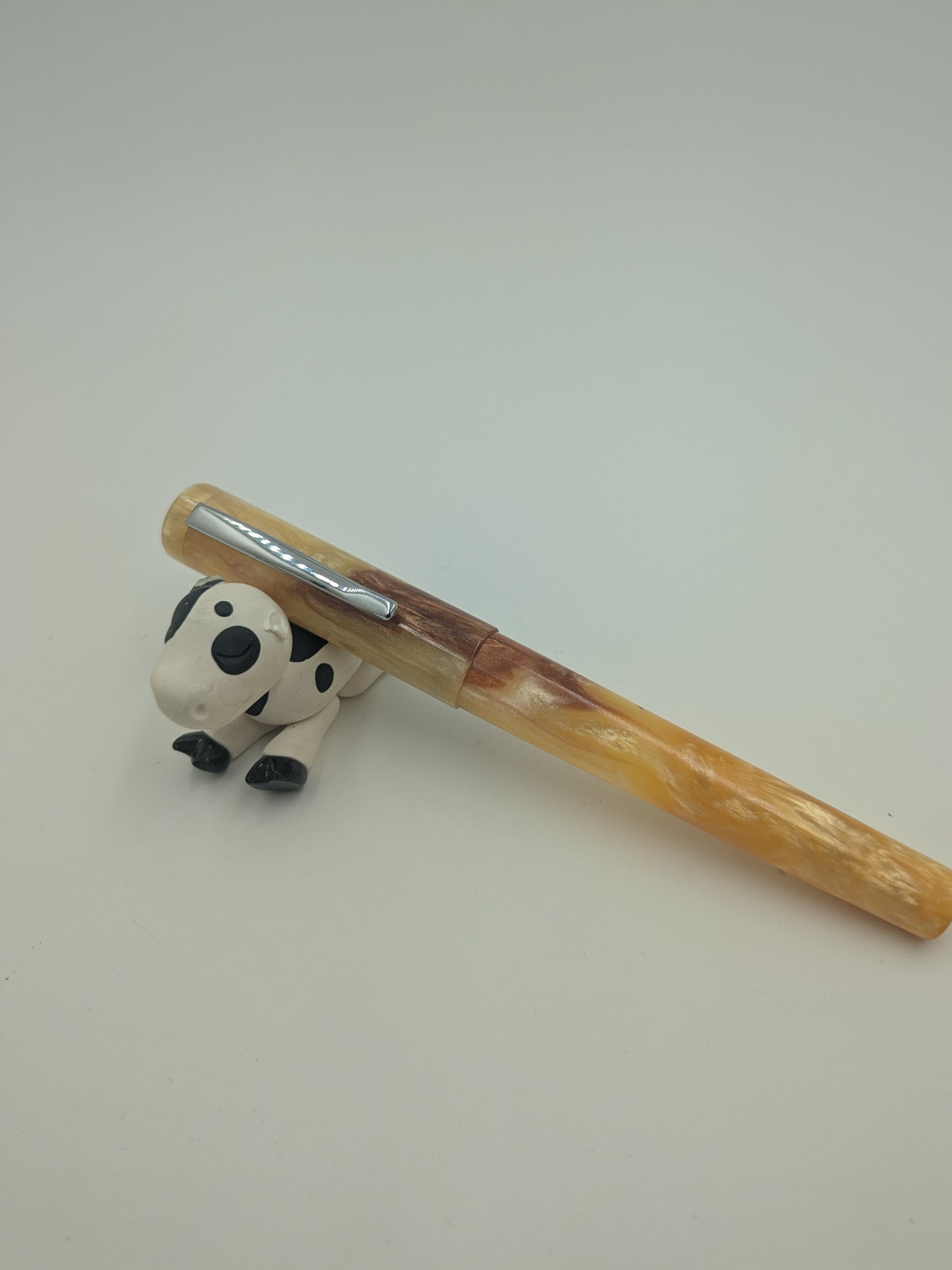 B24 - (SNR) - Safari