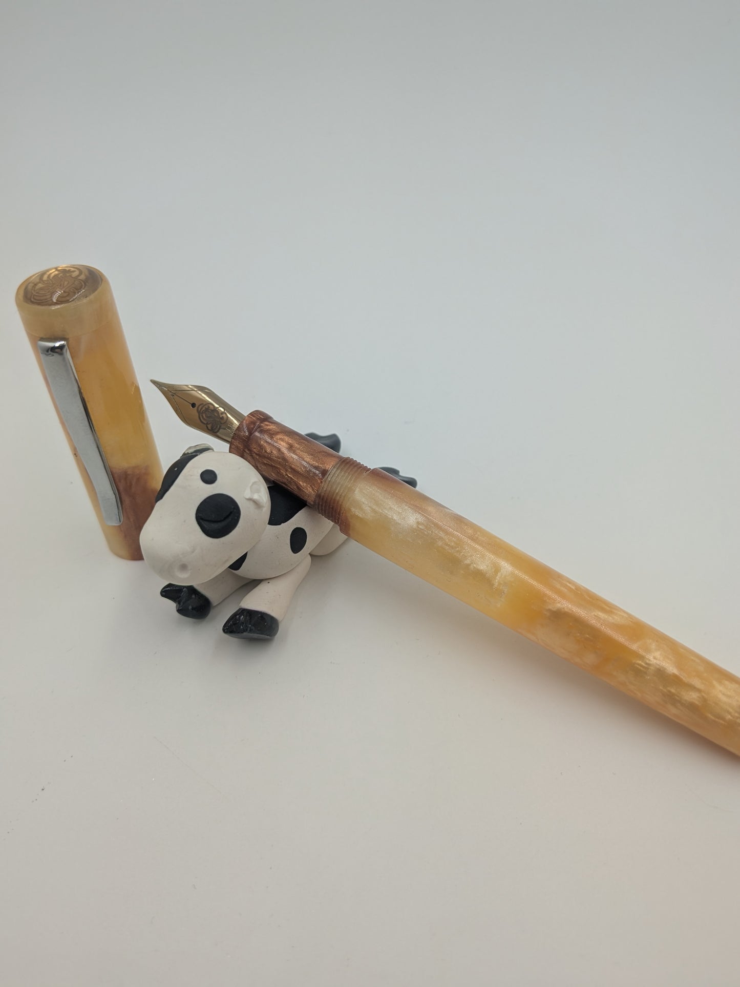 B24 - (SNR) - Safari