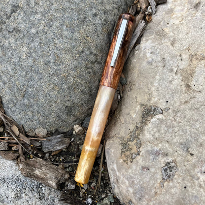 B24 - (SNR) - Safari