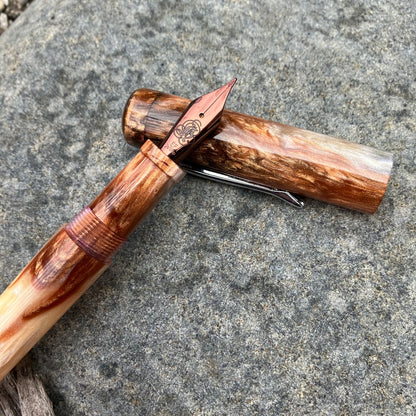 B24 - (SNR) - Safari