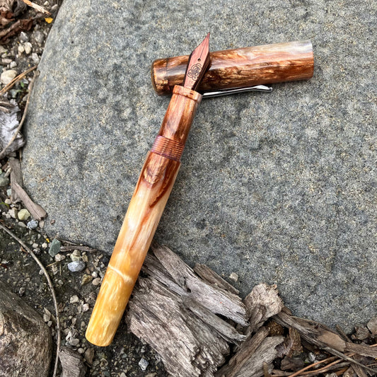 B24 - (SNR) - Safari