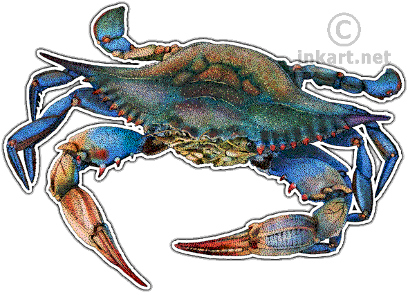 Q24 - (SNR) - Leonardo DaPinchi (223105)