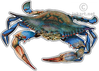 Q24 - (SNR) - Leonardo DaPinchi (223105)