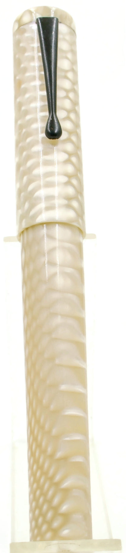 B36- (Evancio) - Serpiente Blanco