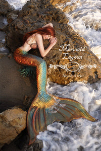 B24 - (SNR) Merrow mermaid (220377)