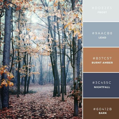 B36 - (SNR) Nordic Woods Evancio